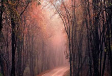 开云APP-绿茵争锋：当针尖对上麦芒，足球之美在伯仲之间绽放