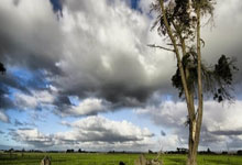 开云下载-磐石为骨逆羽成翼——国家队女足赛场惊现意外黑马奇迹