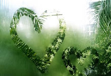 开云体育下载-河床赛前训练公开，备战世俱杯冲刺