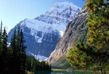 开云体育官方网站-阿尔艾因防守反击战术成亮点，挑战欧洲豪强