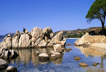 开云体育登录-塔斯马尼亚联主场氛围火爆，球迷热情助阵