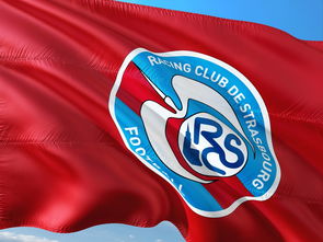 开云体育下载-帕尔梅拉斯攻防转换加快，比赛节奏全面提升