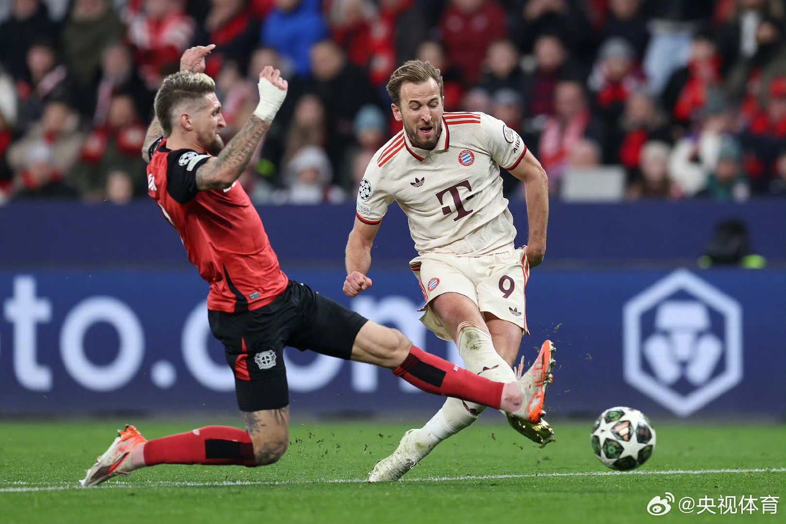 开云体育中国-挪威鏖战拜仁，哈兰德统治全场