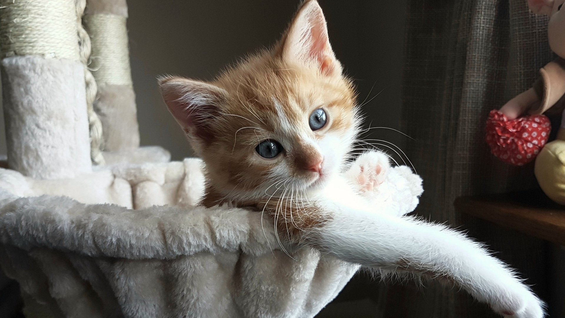 绝杀与爆发，楚阿梅尼的闪耀与国际米兰的韧性