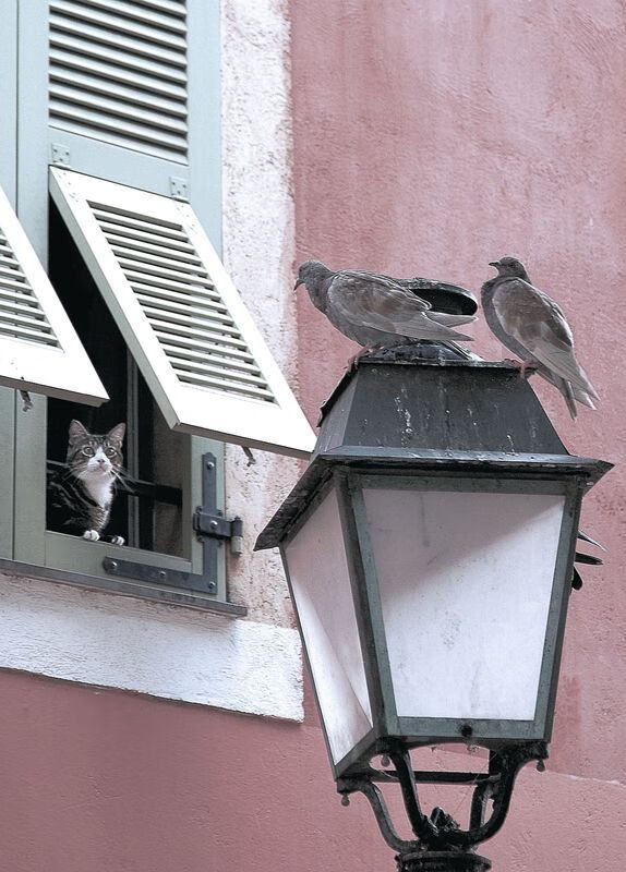 开云体育入口-年度焦点之战之夜，欧文关键回合不手软