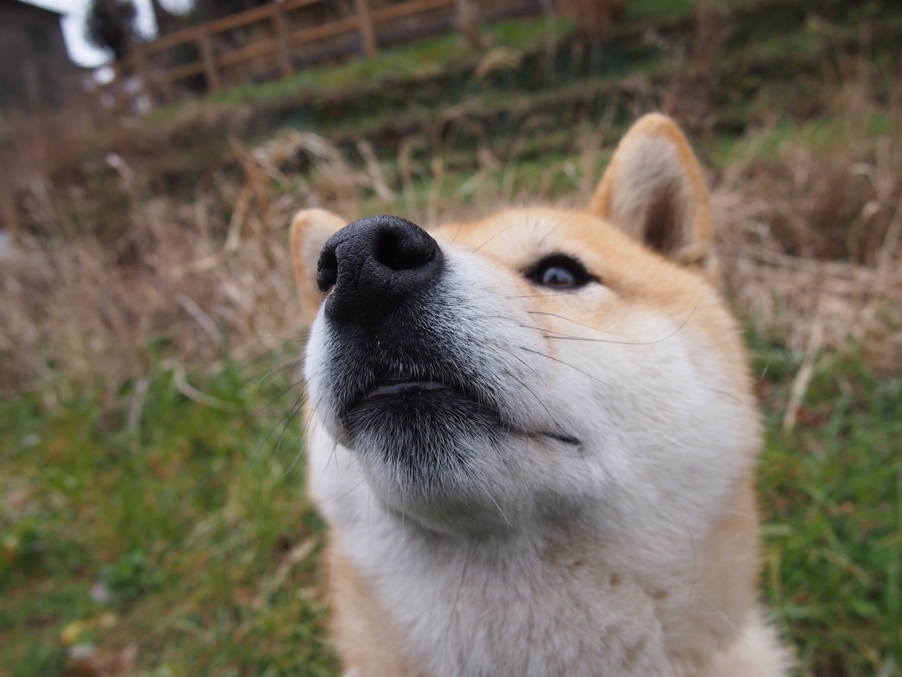 开云体育官方网站-篮球场上的欧冠决赛，山西窒息式防守绞杀浙江，铸就经典压制战