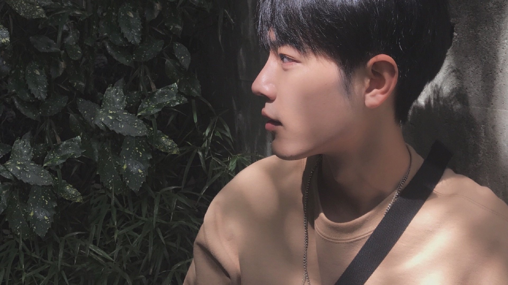 开云体育中国-黄蜂防守如铁壁锁死活塞，武切维奇关键先生引领胜利