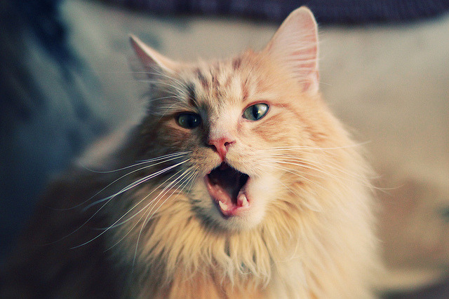 开云官网-时空裂缝中的对决，利拉德点燃赛场，上海队拿下爵士