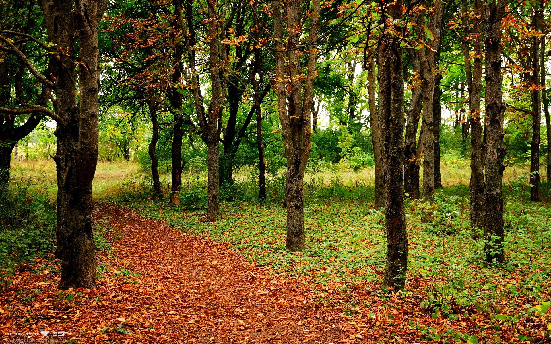死神镰刀下的不夜城，杜兰特季后赛夜持续制造杀伤艺术