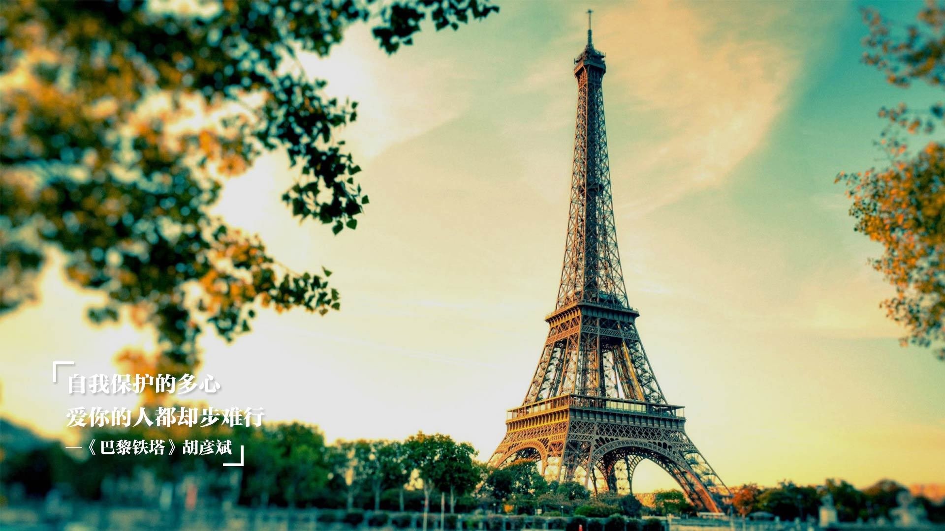 开云体育中国-从阿尔及利亚足球场到F1赛道，当意外成为改写历史的那只手