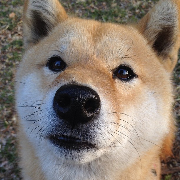 开云体育登录-奥运周期关键战焦点战，掘金强势击溃快船，篮球盛宴映射奥运备战风云