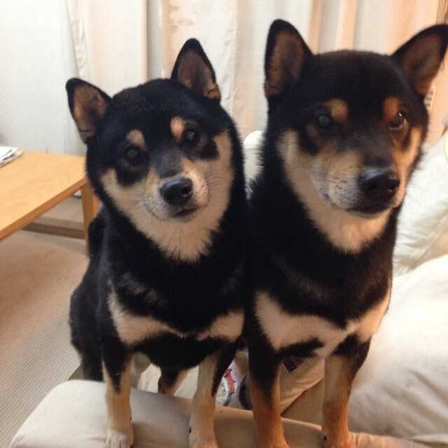 开云体育官网-绝地破阵三分雨!范弗利特轰赛季新高42分,带领公牛重返季后赛版图