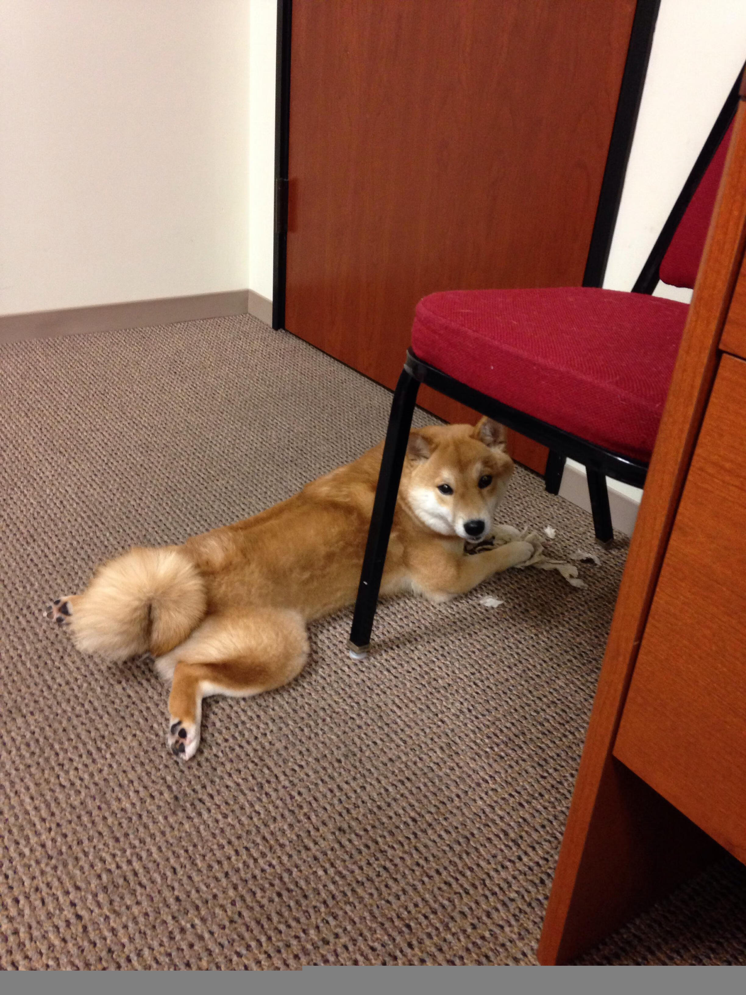 开云体育官方网站-双城记，灰熊踏浪晋级显霸气，班凯罗欧陆争冠展锋芒