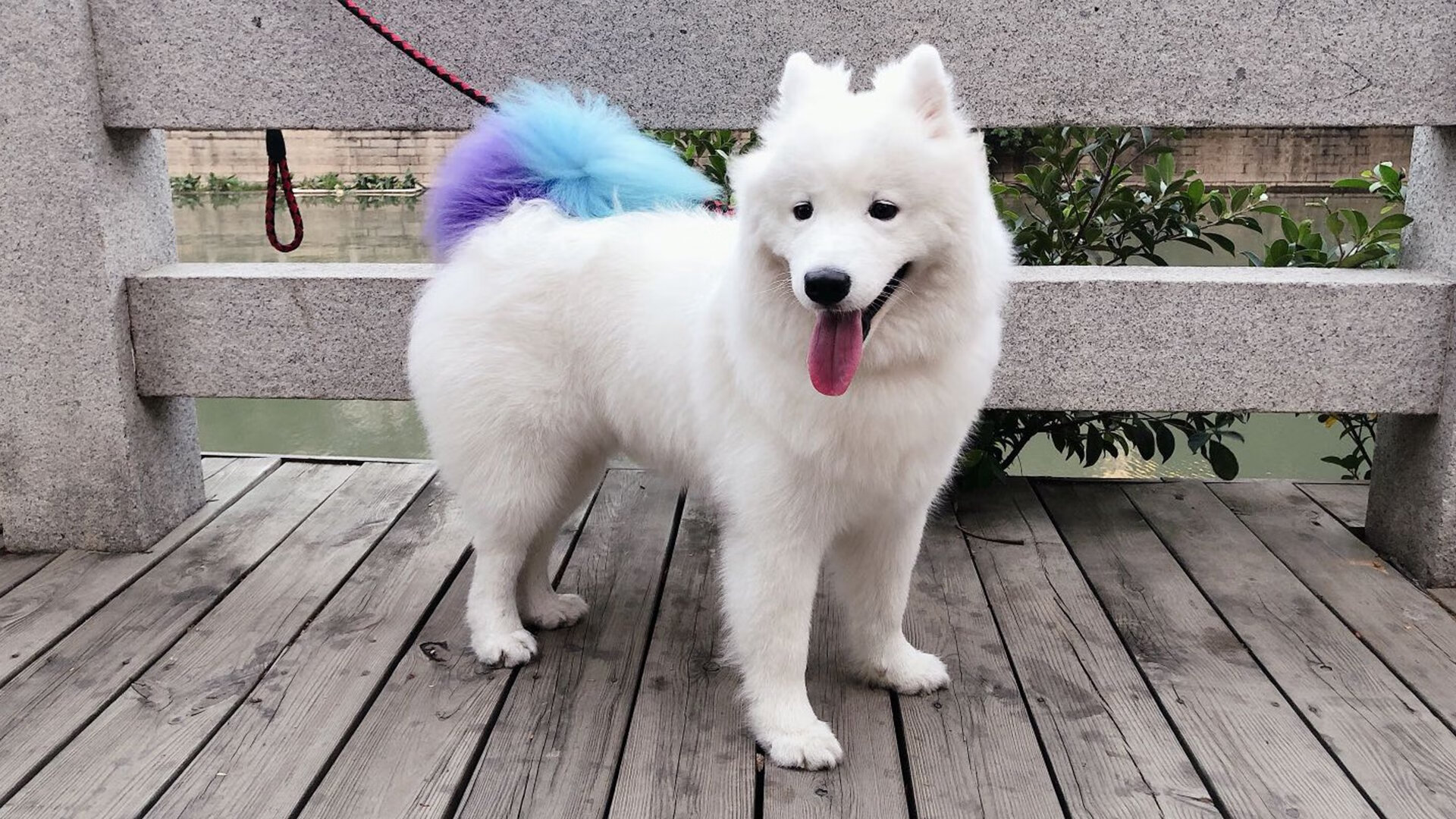 开云体育官网-火热加维难救主，安哥拉末节风暴击溃韩国