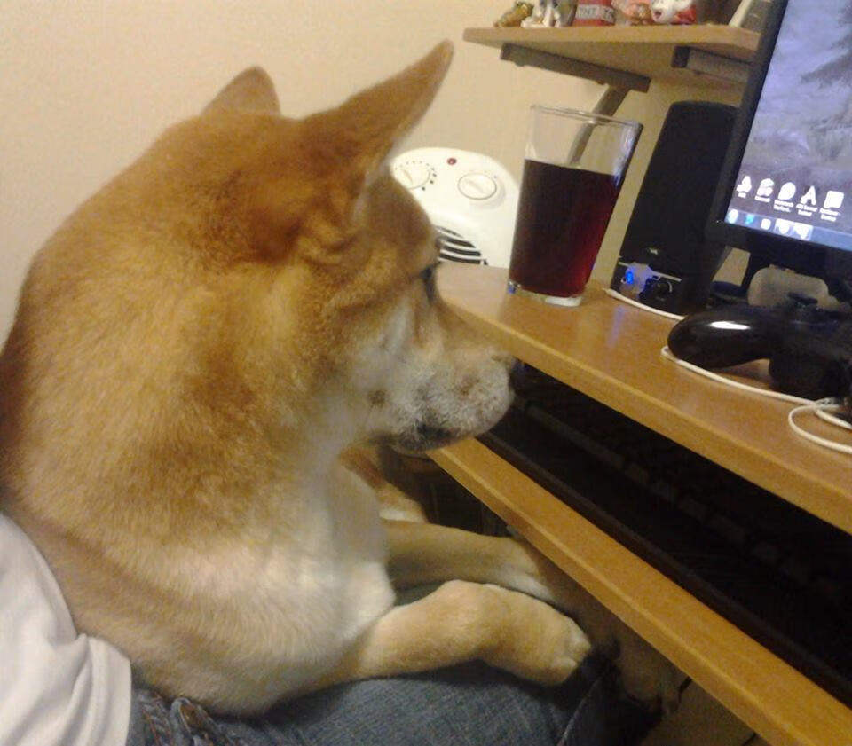 开云体育在线-伊瓦尔·斯通斯击碎北境童话，厄瓜多尔的暴雨与烈焰