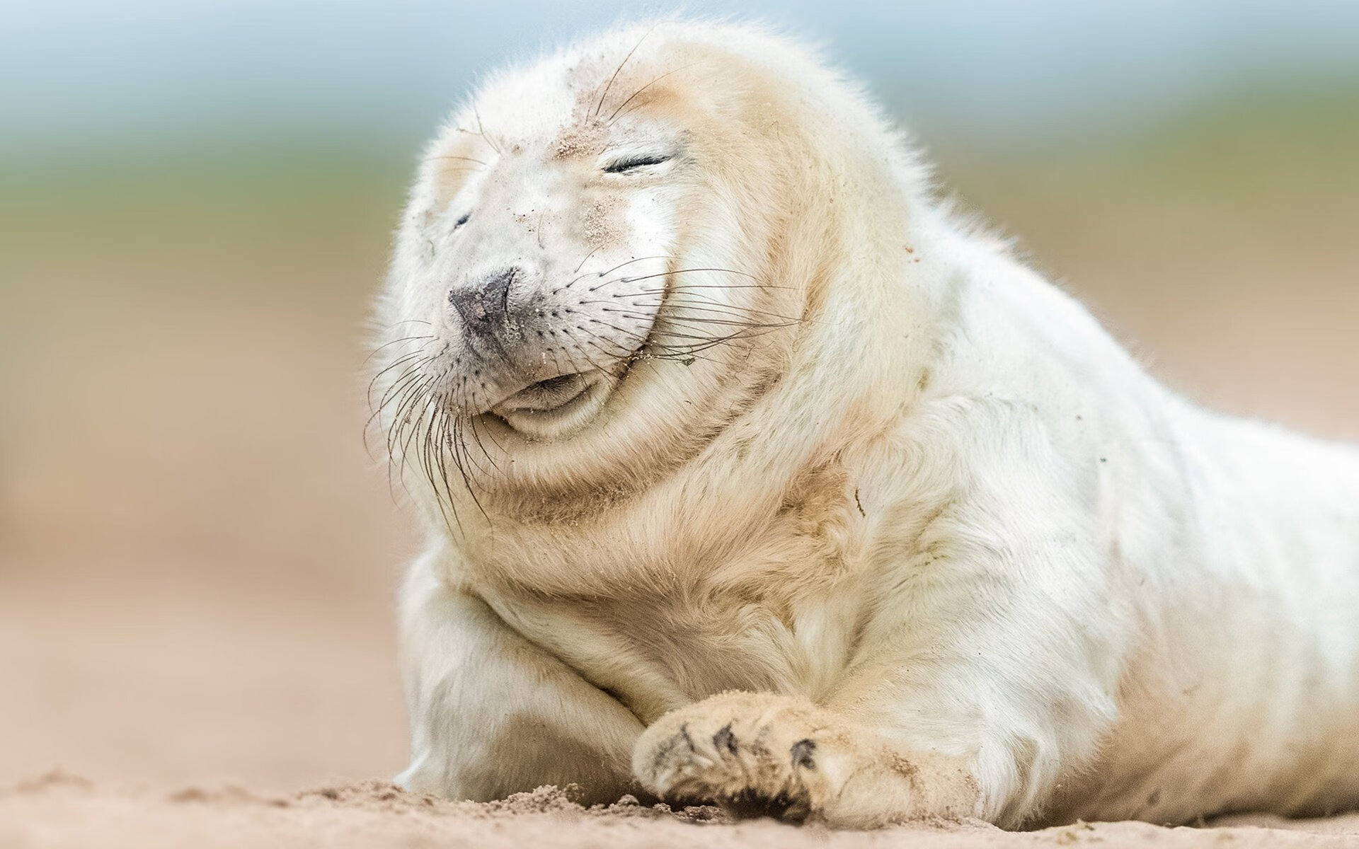 惊天逆转！恩比德末节19分导演山西翻盘好戏